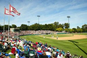 Stanfords field